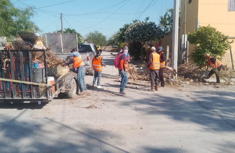 Crucial participación de familias en descacharrización y limpieza de Reynosa
